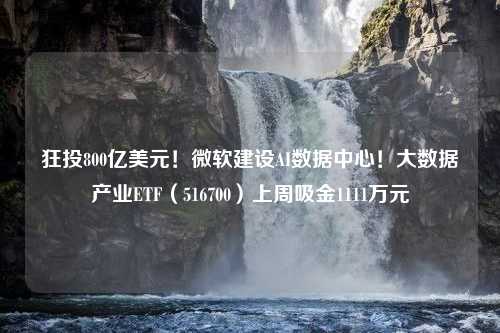 狂投800亿美元！微软建设AI数据中心！大数据产业ETF（516700）上周吸金1111万元