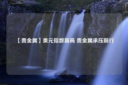 【贵金属】美元指数新高 贵金属承压前行