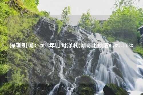 深圳机场：2024年归母净利润同比预增0.78%-11.88%