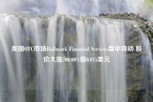 美国OTC市场Hallmark Financial Services盘中异动 股价大涨200.00%报0.015美元