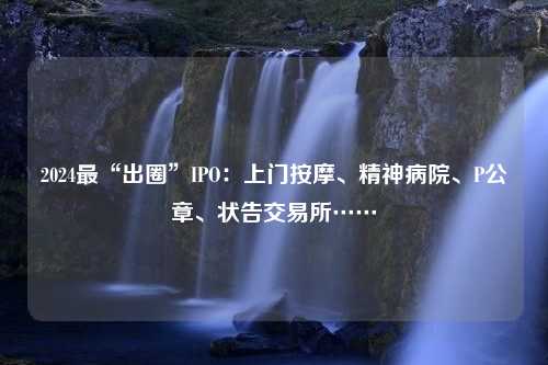 2024最“出圈”IPO：上门按摩、精神病院、P公章、状告交易所……