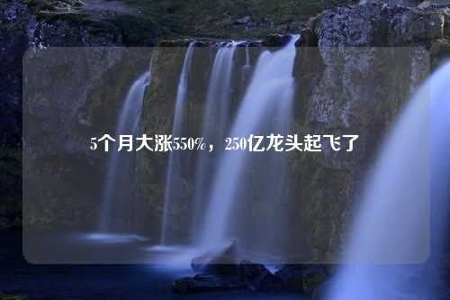 5个月大涨550%，250亿龙头起飞了