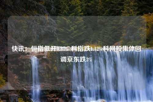 快讯：恒指低开0.87% 科指跌1.12%科网股集体回调京东跌3%