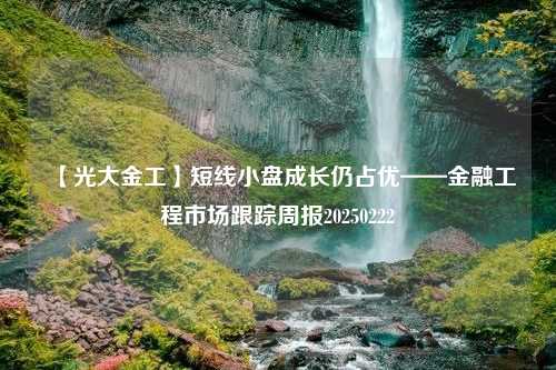 【光大金工】短线小盘成长仍占优——金融工程市场跟踪周报20250222