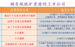 硫铁矿概念龙头股价连续10涨停：该板块如何掘金？