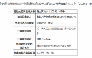 农银人寿宁波分公司因财务数据不真实被罚12万元