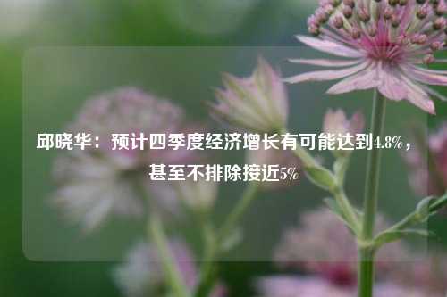 邱晓华：预计四季度经济增长有可能达到4.8%，甚至不排除接近5%