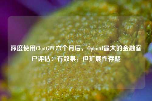 深度使用ChatGPT六个月后，OpenAI最大的金融客户评估：有效果，但扩展性存疑