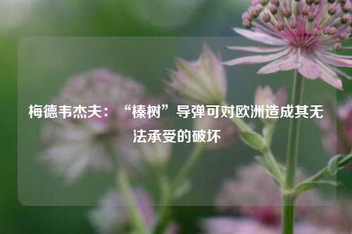 梅德韦杰夫：“榛树”导弹可对欧洲造成其无法承受的破坏