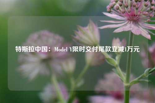 特斯拉中国：Model Y限时交付尾款立减1万元