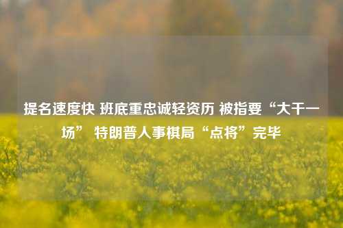 提名速度快 班底重忠诚轻资历 被指要“大干一场” 特朗普人事棋局“点将”完毕