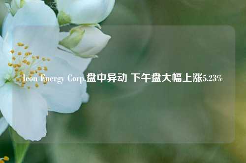 Icon Energy Corp.盘中异动 下午盘大幅上涨5.23%