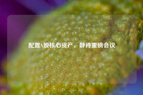 配置A股核心资产，静待重磅会议