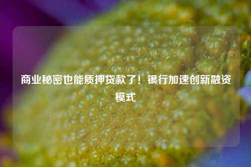 商业秘密也能质押贷款了！银行加速创新融资模式