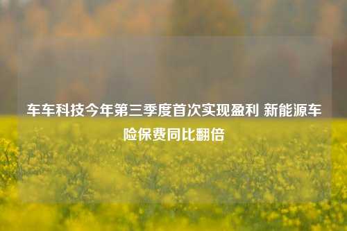 车车科技今年第三季度首次实现盈利 新能源车险保费同比翻倍