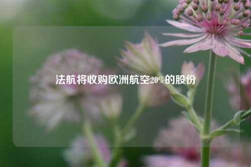 法航将收购欧洲航空20%的股份