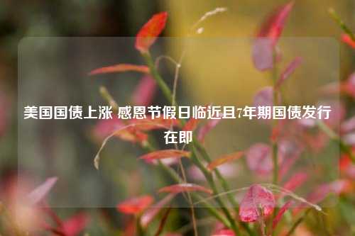 美国国债上涨 感恩节假日临近且7年期国债发行在即