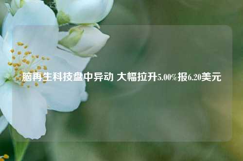 脑再生科技盘中异动 大幅拉升5.00%报6.20美元