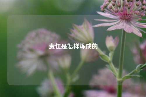 责任是怎样炼成的