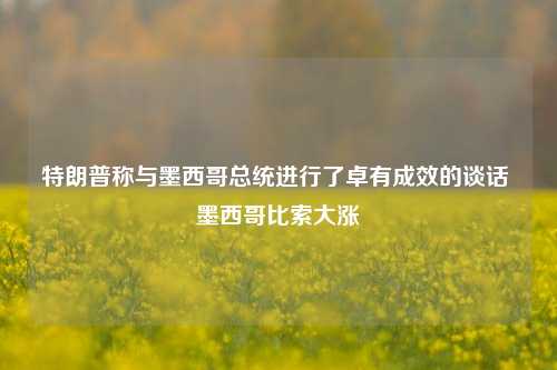 特朗普称与墨西哥总统进行了卓有成效的谈话 墨西哥比索大涨