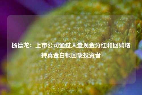 杨德龙：上市公司通过大量现金分红和回购增持真金白银回馈投资者