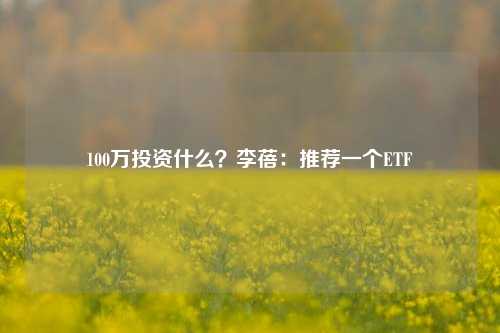 100万投资什么？李蓓：推荐一个ETF