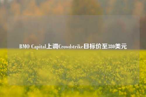 BMO Capital上调Crowdstrike目标价至380美元