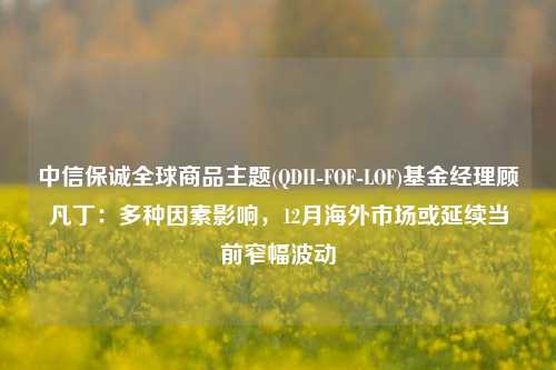 中信保诚全球商品主题(QDII-FOF-LOF)基金经理顾凡丁：多种因素影响，12月海外市场或延续当前窄幅波动