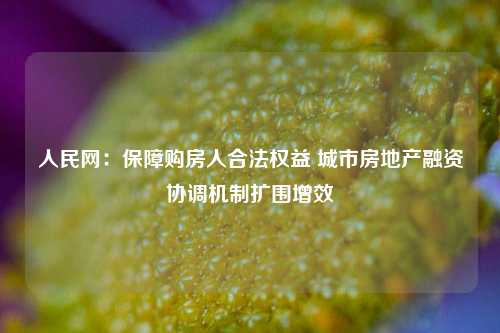 人民网：保障购房人合法权益 城市房地产融资协调机制扩围增效