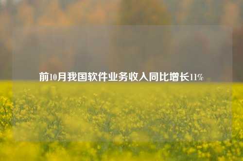 前10月我国软件业务收入同比增长11%