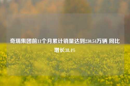 奇瑞集团前11个月累计销量达到230.54万辆 同比增长38.4%