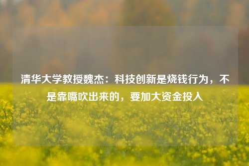 清华大学教授魏杰：科技创新是烧钱行为，不是靠嘴吹出来的，要加大资金投入