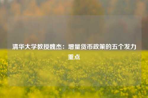 清华大学教授魏杰：增量货币政策的五个发力重点