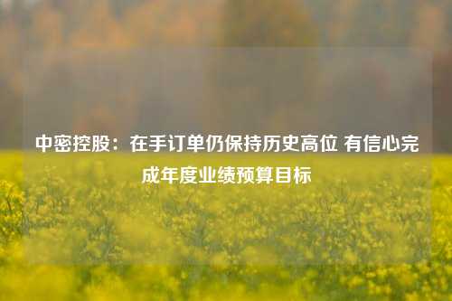 中密控股：在手订单仍保持历史高位 有信心完成年度业绩预算目标