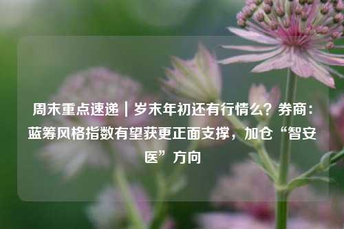 周末重点速递｜岁末年初还有行情么？券商：蓝筹风格指数有望获更正面支撑，加仓“智安医”方向