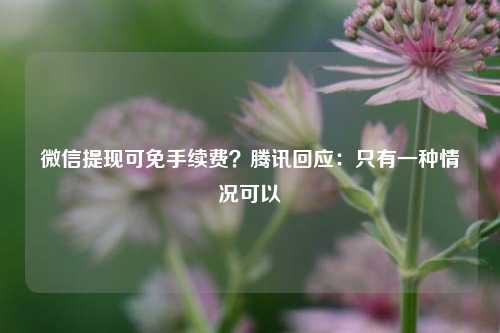 微信提现可免手续费？腾讯回应：只有一种情况可以