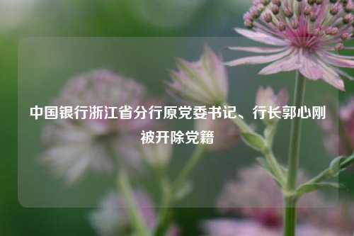 中国银行浙江省分行原党委书记、行长郭心刚被开除党籍