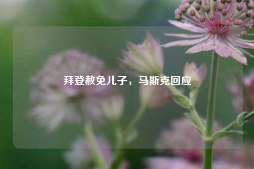 拜登赦免儿子，马斯克回应