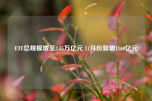 ETF总规模增至3.65万亿元 11月份新增1160亿元