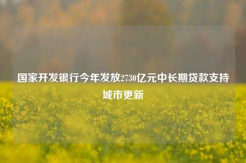 国家开发银行今年发放2730亿元中长期贷款支持城市更新