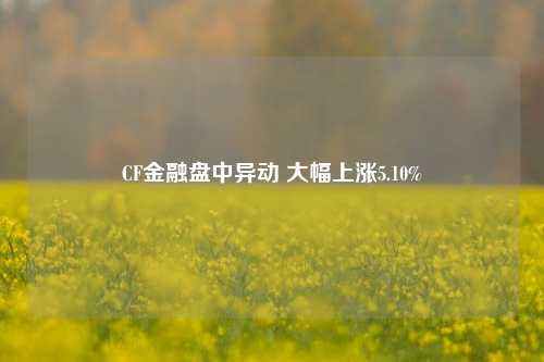 CF金融盘中异动 大幅上涨5.10%