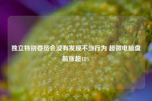 独立特别委员会没有发现不当行为 超微电脑盘前涨超18%