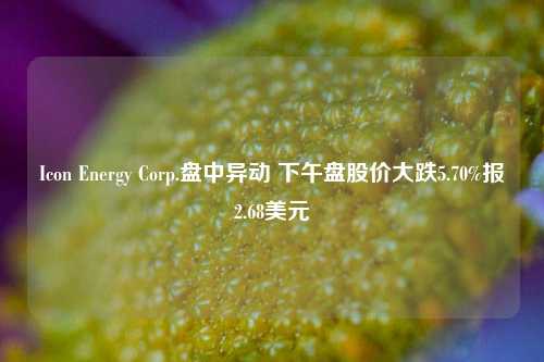 Icon Energy Corp.盘中异动 下午盘股价大跌5.70%报2.68美元