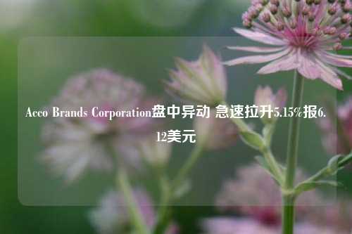 Acco Brands Corporation盘中异动 急速拉升5.15%报6.12美元