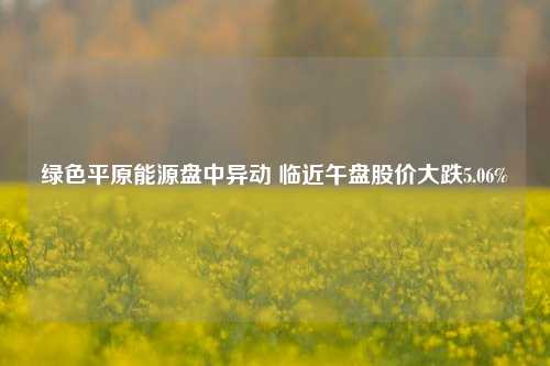 绿色平原能源盘中异动 临近午盘股价大跌5.06%