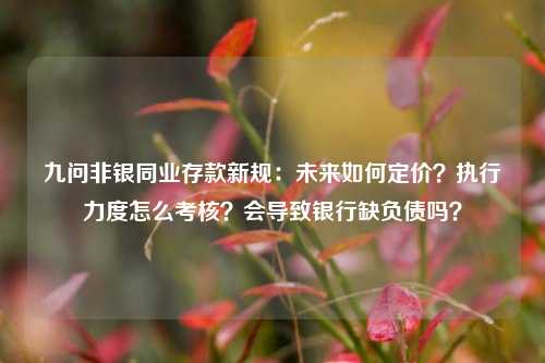 九问非银同业存款新规：未来如何定价？执行力度怎么考核？会导致银行缺负债吗？