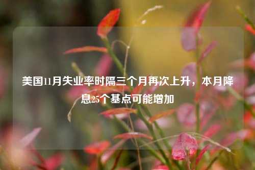 美国11月失业率时隔三个月再次上升，本月降息25个基点可能增加