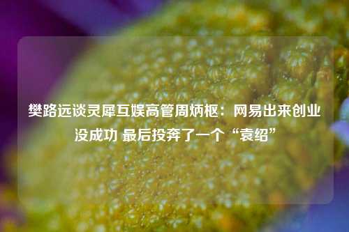 樊路远谈灵犀互娱高管周炳枢：网易出来创业没成功 最后投奔了一个“袁绍”