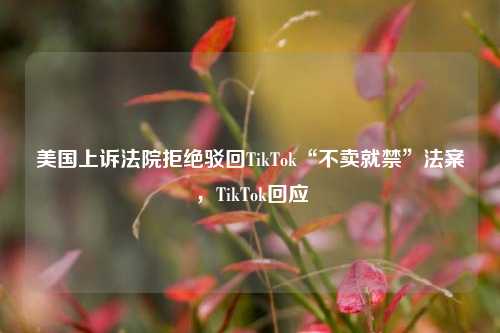 美国上诉法院拒绝驳回TikTok“不卖就禁”法案，TikTok回应