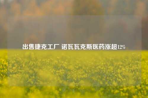 出售捷克工厂 诺瓦瓦克斯医药涨超12%